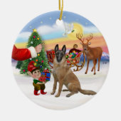Leckerei - Belgisch Malinois Keramikornament (Vorne)