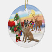 Leckerei - Belgisch Malinois Keramikornament (Links)