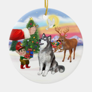 Leckerei für einen Alaskan Malamute Keramik Ornament