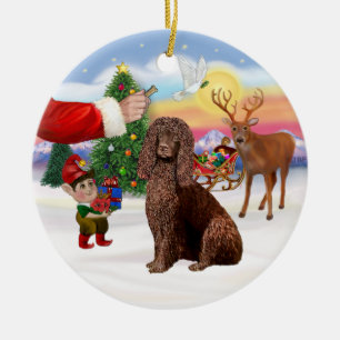 Leckerei für einen Irish Water Spaniel Keramik Ornament