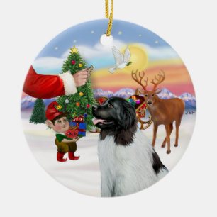 Leckerei für einen Landseer Newfoundländer Keramik Ornament