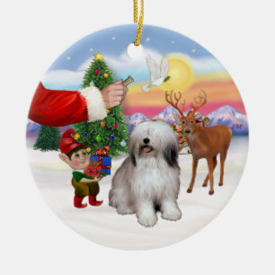 Leckerei für einen polnischen Schlepphund Keramikornament