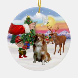 Leckerei für einen Rot-Weißen Australian Shepherd Keramik Ornament