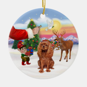 Leckerei für einen Ruby Cavalier King Charles Span Keramikornament