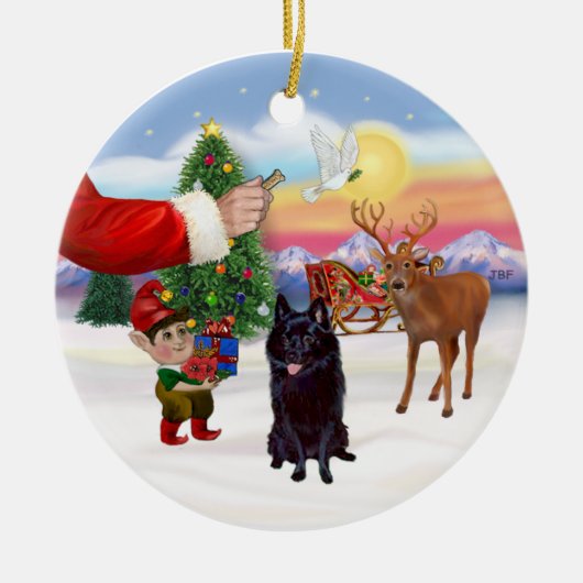 Leckerei für einen Schipperke Keramik Ornament (Vorne)