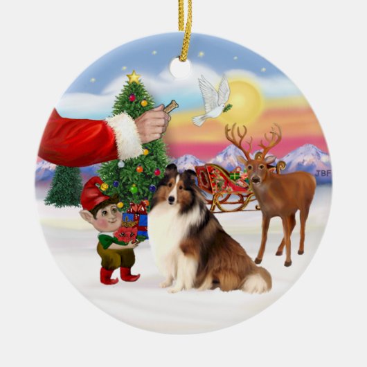 Leckerei für einen Shetland Sheepdog (#7) Keramik Ornament (Vorne)