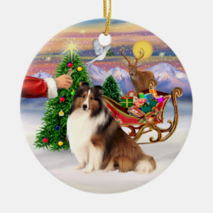 Leckerei für einen Shetland Sheepdog (#7) Keramikornament