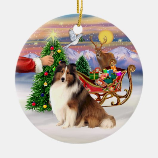 Leckerei für einen Shetland Sheepdog (#7) Keramikornament (Vorne)