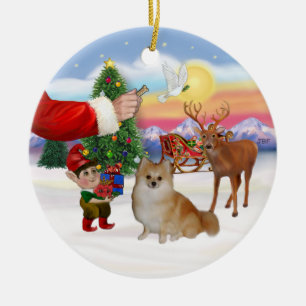 Leckerei für einen Spitz Keramikornament