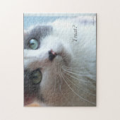 Leckerei? Für Kätzchen. Puzzle (Vertikal)