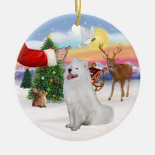 Leckerei für Samoyed (#1) Keramik Ornament