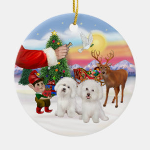 Leckerei für zwei Bichon Frise Keramikornament