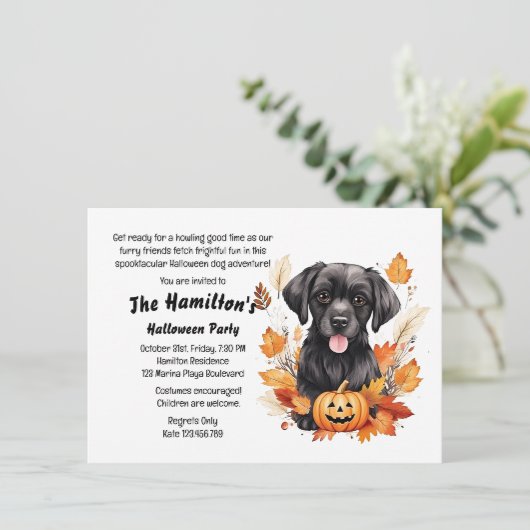 Leckerei Hunde Halloween-Party Einladung (Stehend Vorderseite)
