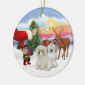 Leckerei - Zwei Coton de Tulears Keramik Ornament (Links)