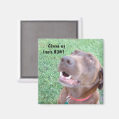 Leckereien JETZT Magnet (Vorderseite/Rückseite)