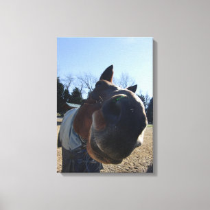 LECKEREIEN? Nosey Pferd Leinwanddruck