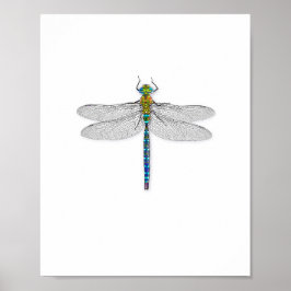 Leckeres Dragonfly Art Print Poster