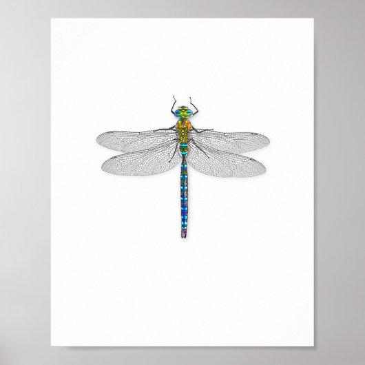 Leckeres Dragonfly Art Print Poster (Vorne)