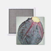 Leckeres Kohl Magnet (Vorderseite/Rückseite)