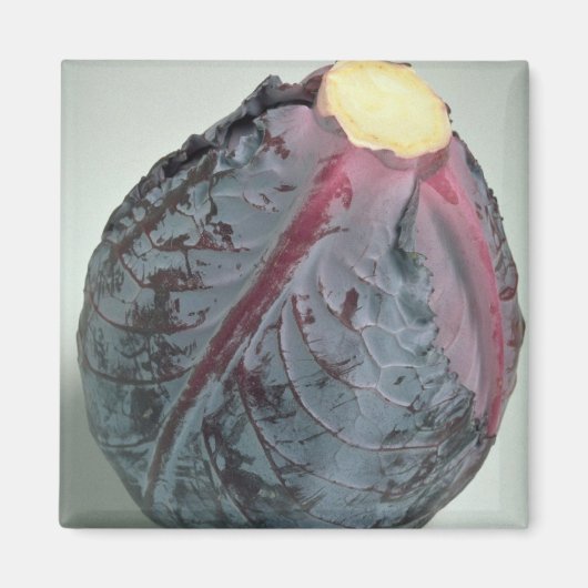 Leckeres Kohl Magnet (Vorne)