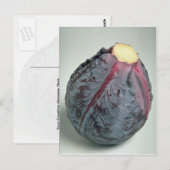Leckeres Kohl Postkarte (Vorne/Hinten)