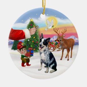 Leckerli für einen Australian Cattle Dog Keramikornament