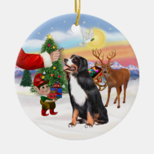 Leckerli für einen Berner Sennenhund Keramikornament