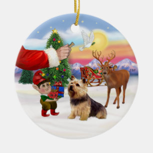 Leckerli für einen Norwich Terrier Keramik Ornament