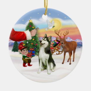 Leckerli für einen Sibirischen Husky (#3) Keramikornament
