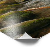 LeConte Creek auf den Großen Smoky-Bergen Fotodruck (Ecke)