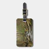 LeConte Creek auf den Großen Smoky-Bergen Gepäckanhänger (Vorderseite vertikal)