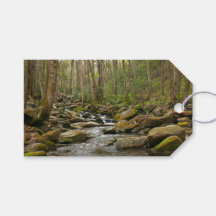LeConte Creek auf den Großen Smoky-Bergen