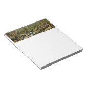 LeConte Creek auf den Großen Smoky-Bergen Notizblock (angewinkelt)