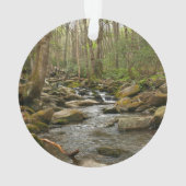 LeConte Creek auf den Großen Smoky-Bergen Ornament (Rückseite)