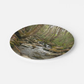 LeConte Creek auf den Großen Smoky-Bergen Pappteller (Schrägansicht)