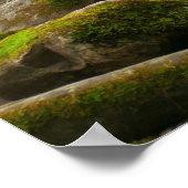 LeConte Creek auf den Großen Smoky-Bergen Poster (Ecke)