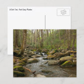 LeConte Creek auf den Großen Smoky-Bergen Postkarte (Vorne/Hinten)