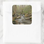 LeConte Creek auf den Großen Smoky-Bergen Quadratischer Aufkleber (Tasche)