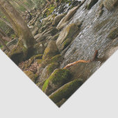 LeConte Creek auf den Großen Smoky-Bergen Seidenpapier (Ausschnitt)