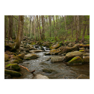 LeConte Creek in den Great Smoky Mountains Poster