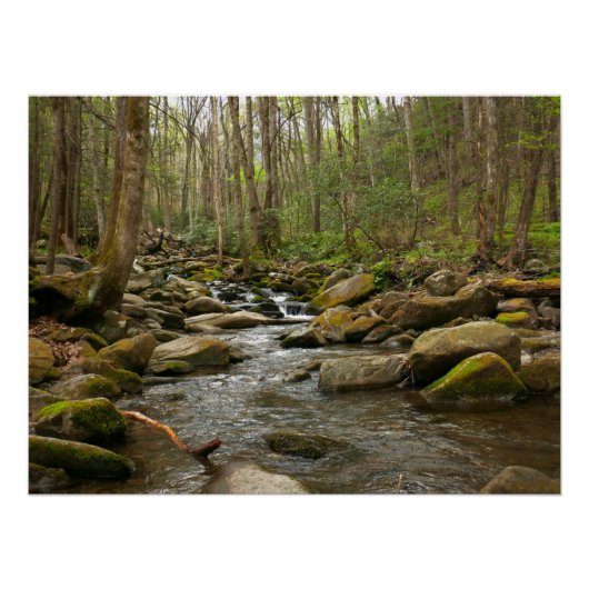 LeConte Creek in den Great Smoky Mountains Poster (Vorderseite)