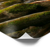 LeConte Creek in den Great Smoky Mountains Poster (Ecke)