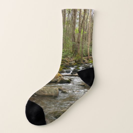 LeConte Creek Socken (Links - Außen)