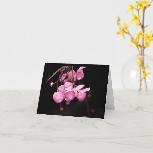 LECYTHIDACEAE: Couratari tenuicarpa Karte (Gelbe Blume)