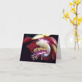 LECYTHIDACEAE: KARTE (Gelbe Blume)