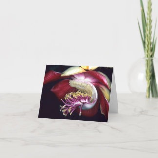 LECYTHIDACEAE: KARTE