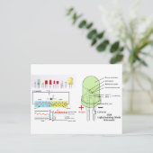 LED-Lichtausgangsdiode Schematisch Postkarte (Stehend Vorderseite)