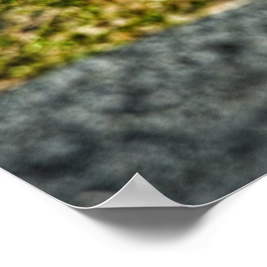 Led Sled Rat Poster (Ecke)