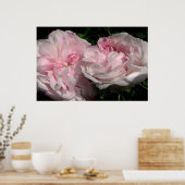 Leda Poster (Küche)