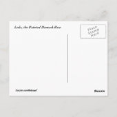 Leda Rose Blume Postkarte (Rückseite)